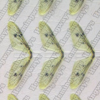 Realistic Mayfly Wings