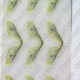 Realistic Mayfly Wings
