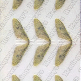Realistic Mayfly Wings