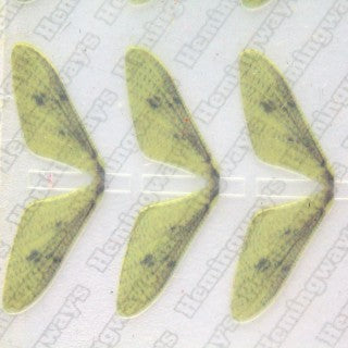 Realistic Mayfly Wings