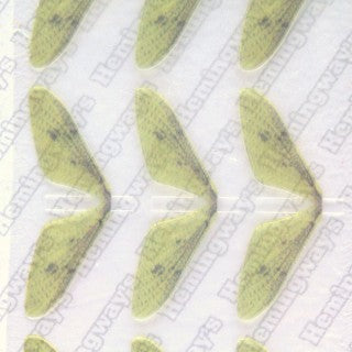 Realistic Mayfly Wings