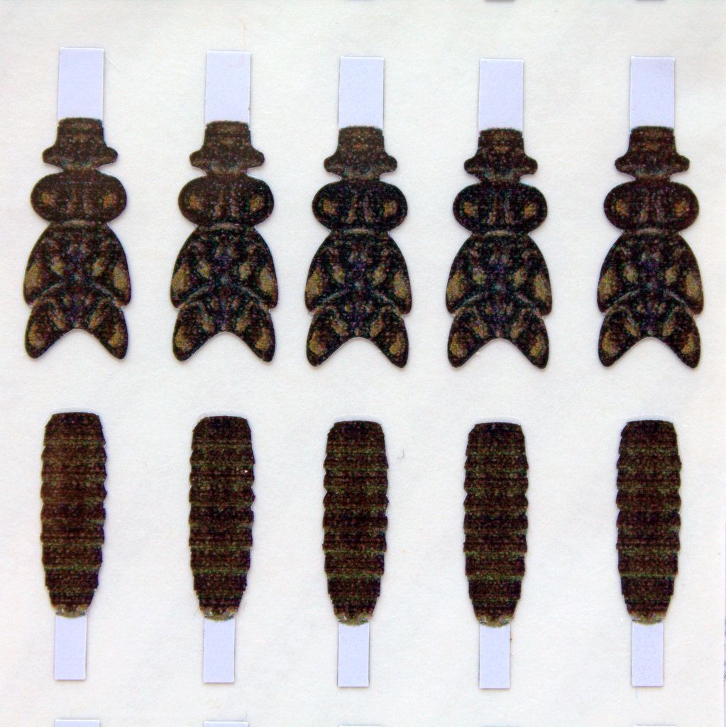 Realistic Stonefly Nymph Wing Buds & Back