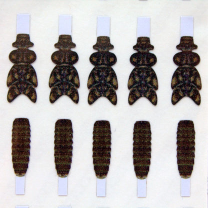 Realistic Stonefly Nymph Wing Buds & Back