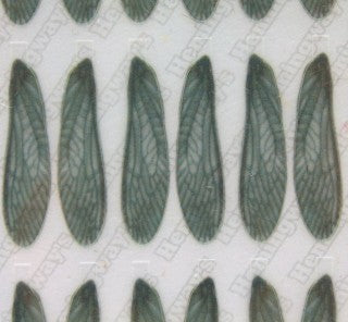 Realistic Stonefly Wings