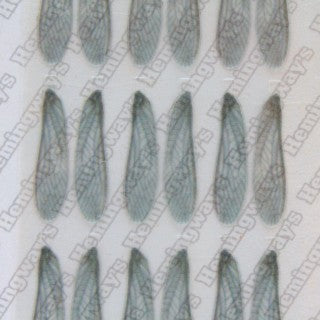 Realistic Stonefly Wings