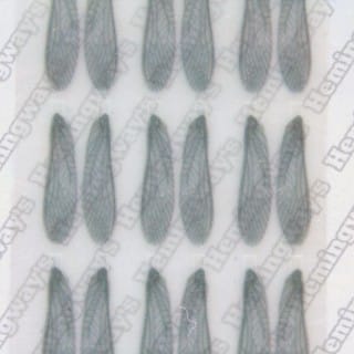 Realistic Stonefly Wings