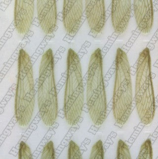 Realistic Stonefly Wings