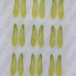 Realistic Stonefly Wings