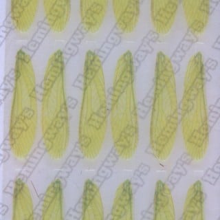Realistic Stonefly Wings