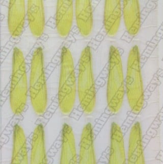 Realistic Stonefly Wings