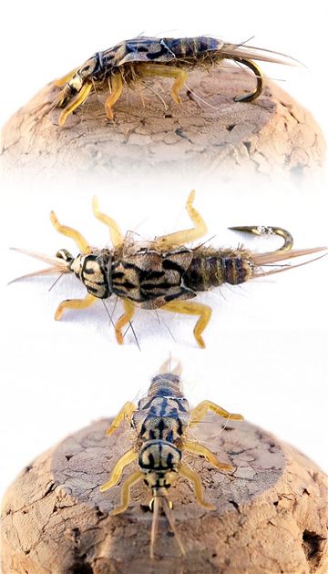 Hemingway's Realistic-Stonefly-Nymph-by FreeStone Fly Tyer. For materials used Hemingway's Stonefly Nymph Buds and Legs.