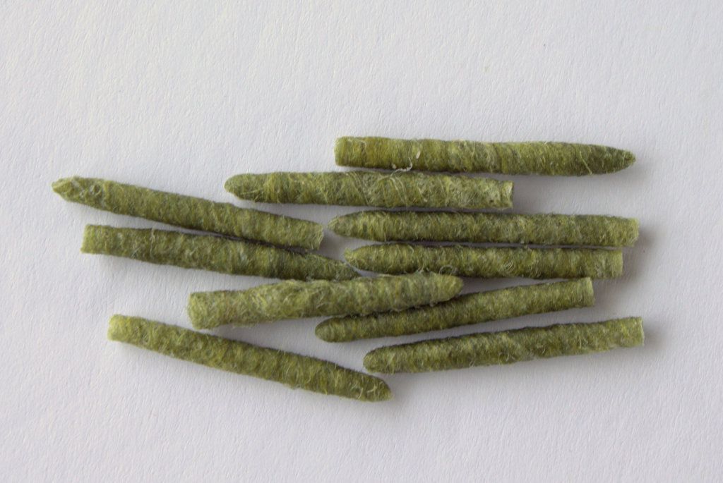 Tube Body Caddis - Olive