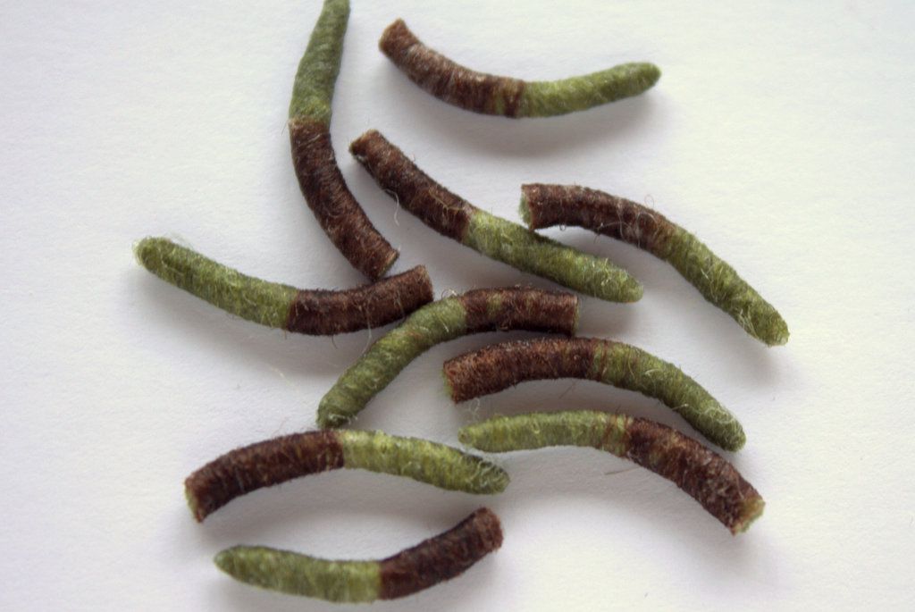 Hemingway's Tube Body Caddis Pupa (10 pcs)