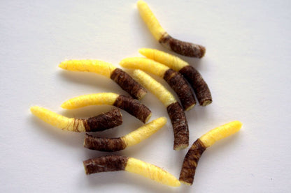 Hemingway's Tube Body Caddis Pupa (10 pcs)