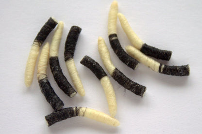 Hemingway's Tube Body Caddis Pupa (10 pcs)