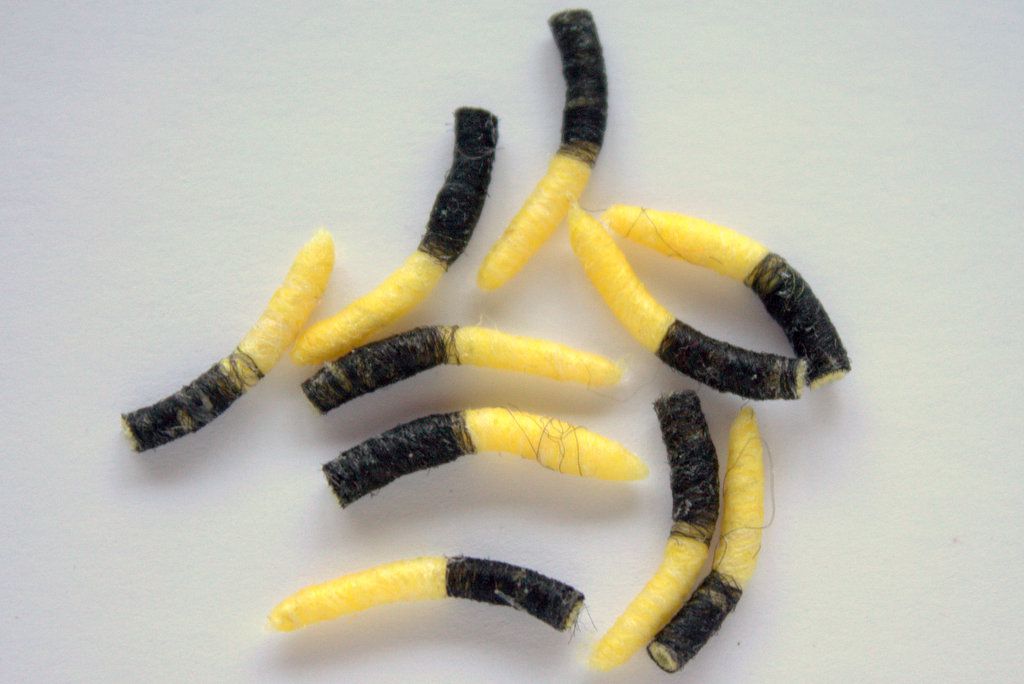 Hemingway's Tube Body Caddis Pupa (10 pcs)