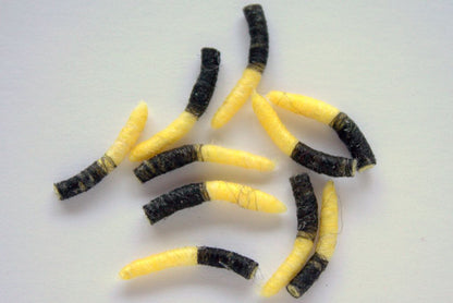 Hemingway's Tube Body Caddis Pupa (10 pcs)