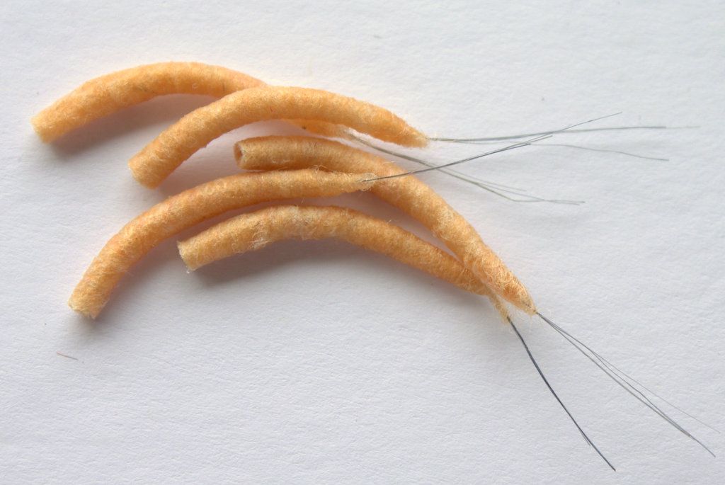 Hemingway's Mayfly Tube Bodies