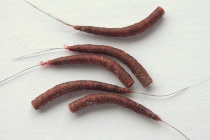 Hemingway's Mayfly Tube Bodies