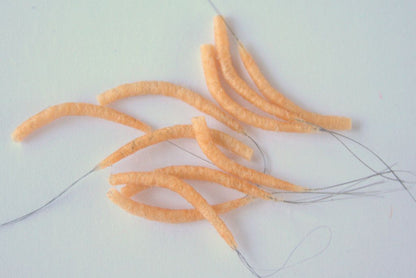 Hemingway's Mayfly Tube Bodies