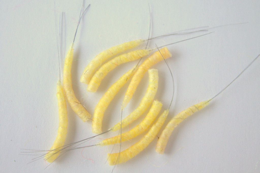 Hemingway's Mayfly Tube Bodies