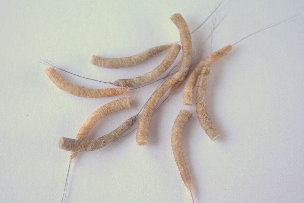 Hemingway's Mayfly Tube Bodies