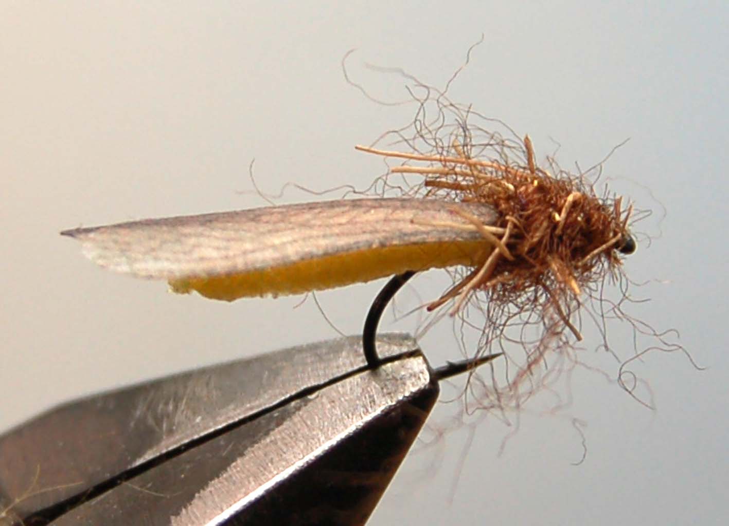 How to tie realistic stonefly - Tying Stonefly - Step 12