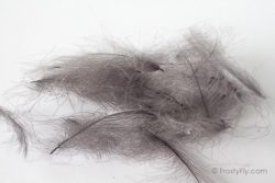Hemingway's CDC Feathers - Gray