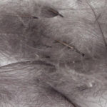 Hemingway's CDC Feathers - Gray