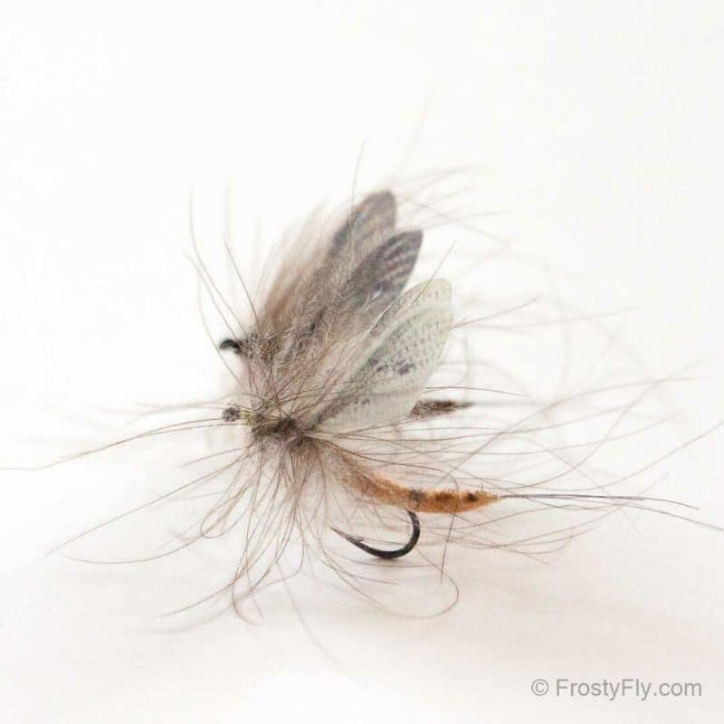 Hemingway's Realistic Mayflies tied with Realistic Mayfly Wings