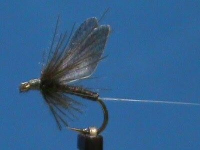 Fly Tying Blue Wing Olive by Jim Misiura