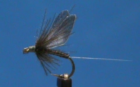 Fly Tying Blue Wing Olive by Jim Misiura