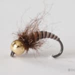 Tungsten Peacock Quill Caddis Nymph - Brown