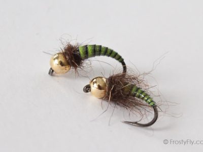 Tungsten Peacock Quill Caddis Nymphs