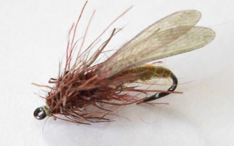 Hemingway's Realistic Stonefly Dry tied with Hemingway's Realistic Stonefly Wings