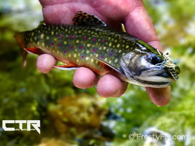 Brook trout caught on a realistic hopper