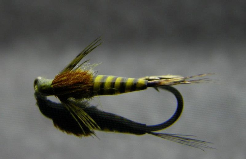 Hemingways Peacock Quill Yellow Olive Photo by Mouches Bailly - FrostyFly