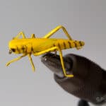 Realistic Hopper - Yellow