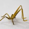 Realistic Hopper Legs 3D -Yellow
