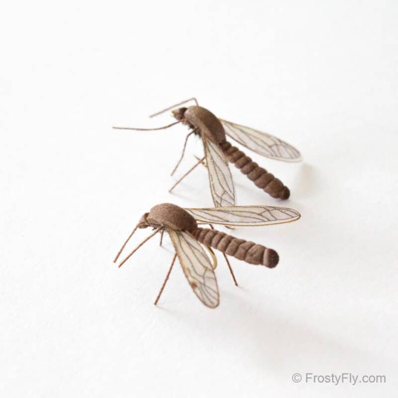 Crane Flies tied with Frosty Fly Realistic Crane Fly Wings and Crane Fly Legs 3D