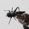 Realistic Cricket Fly