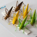 Realistic Flies - Hopper - Set of 6 Flies - Green, Yellow and Brown