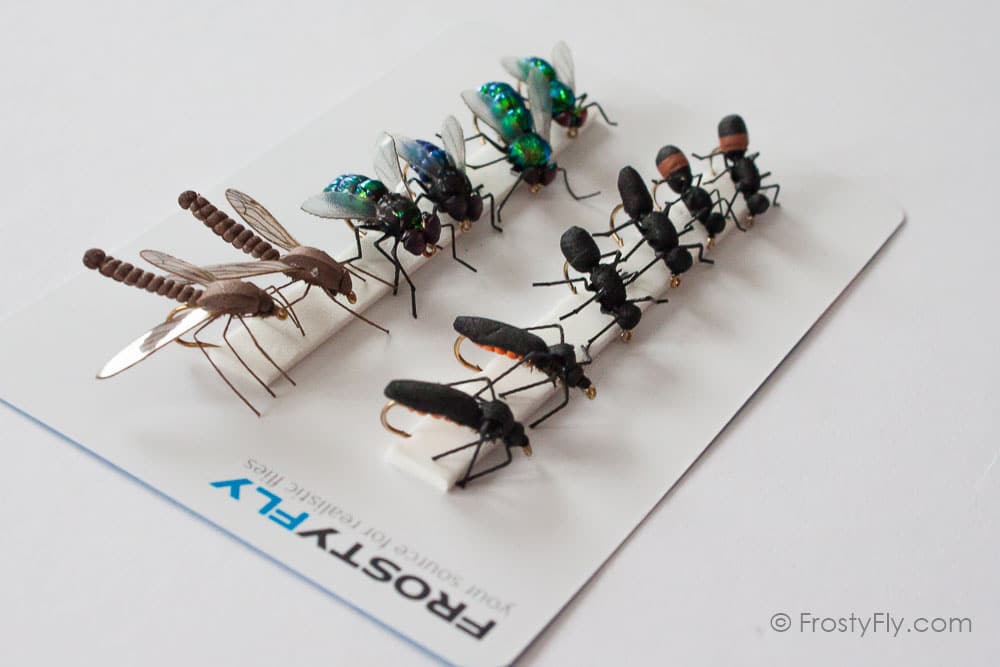 Realistic Flies - Terrestrials - Set of 12 Flies - FrostyFly