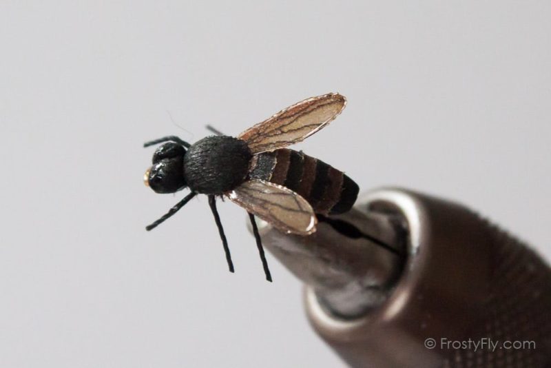 Realistic Honey Bee Fly - Natural