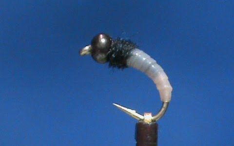 Gimmie Caddis Larva tied by Jim Misiura