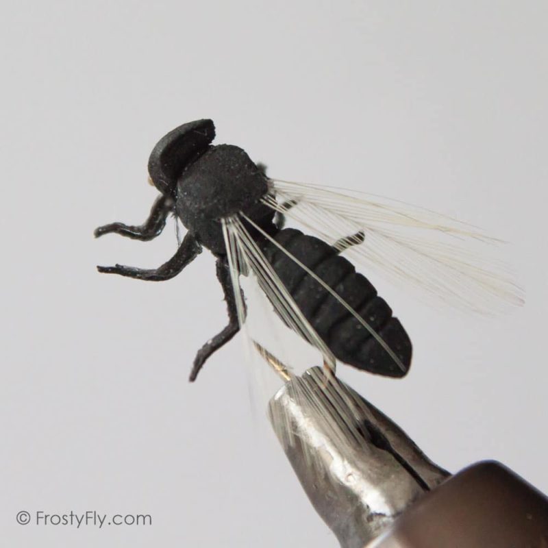 Realistic Big Black Flying Ant