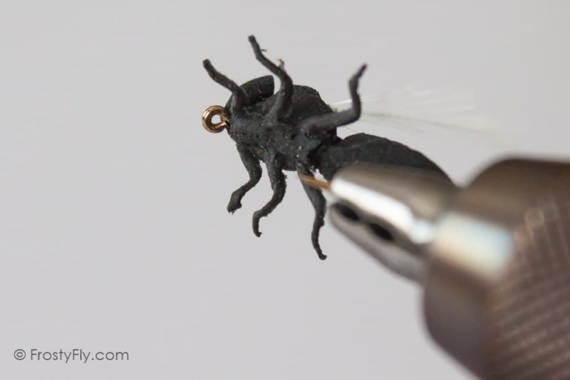 Realistic Big Black Flying Ant