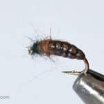 Realistic Caddis Larvae - Brown