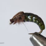 Realistic Caddis Larvae with Silicone Legs - Green