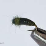 Realistic Caddis Larvae - Green